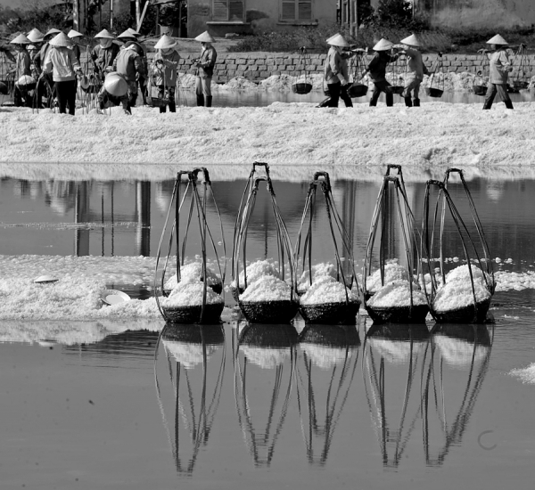 Photograph Viet Van Tran Salt on One Eyeland